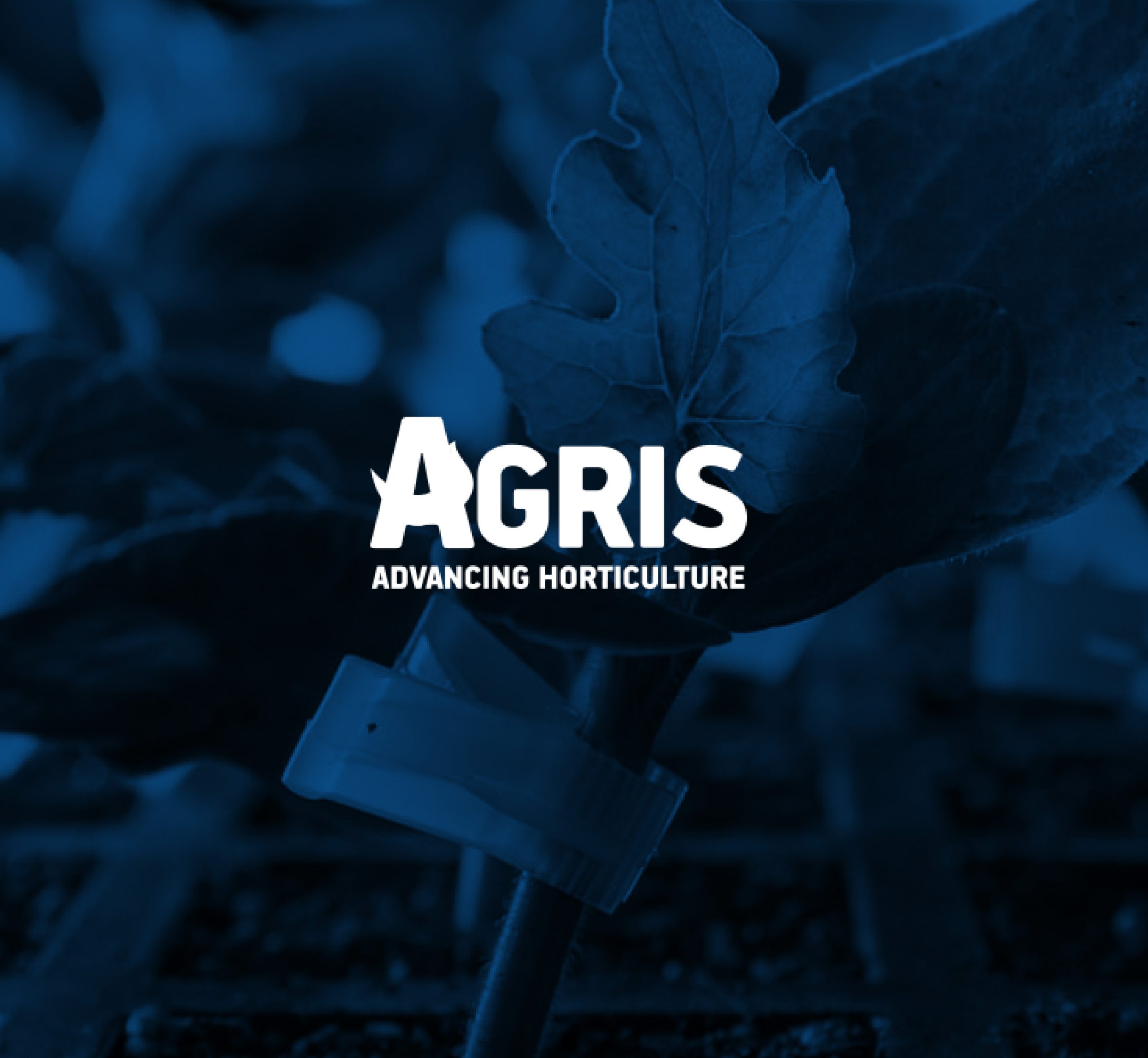Logo of the company "AGRIS S.A."