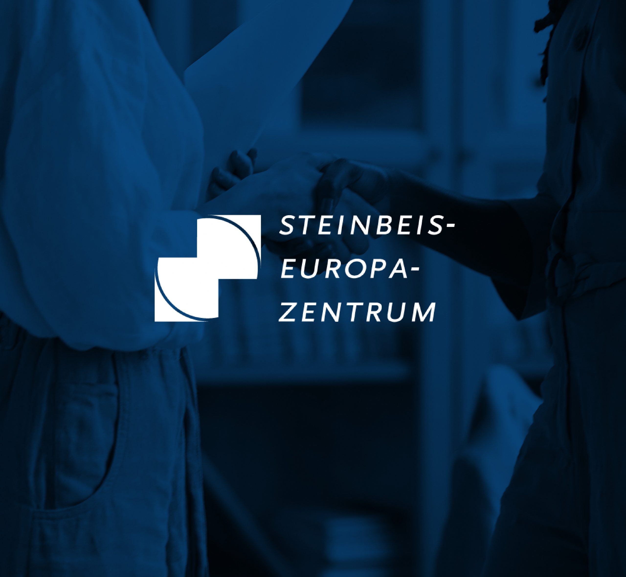 Logo of the company "Steinbeis-Europa-Zentrum"
