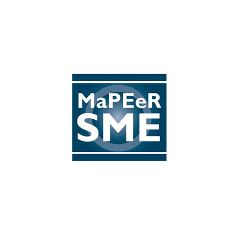 Logo of the project "MaPEeR SME"