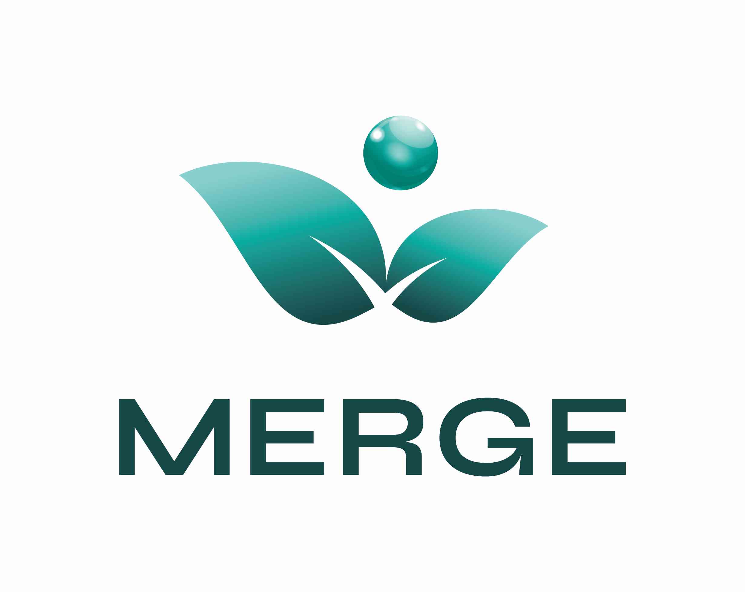 Logo of the project "MERGE"